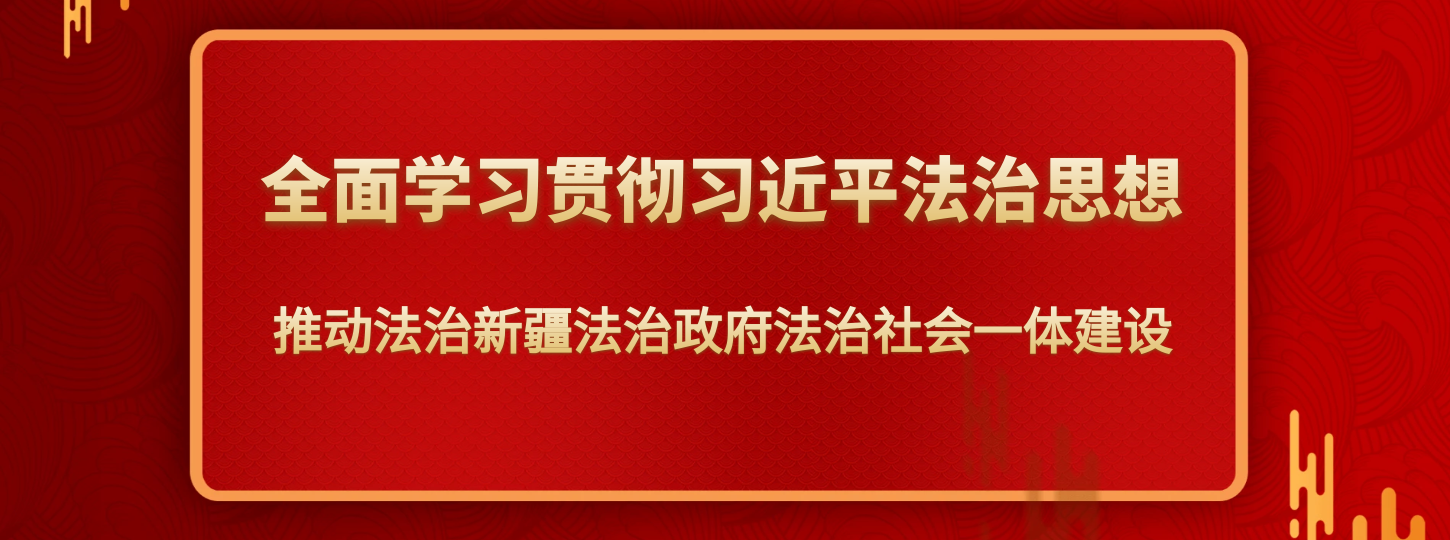 全面学习贯彻习近平法治思想 推动法治新疆法治政府法治社会一体建设