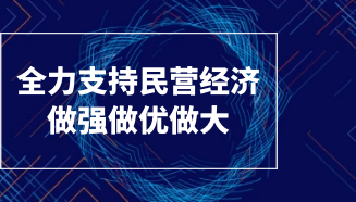 全力支持民营经济做强做优做大——访新疆维吾尔自治区党委副书记、自治区主席艾尔肯·吐尼亚孜