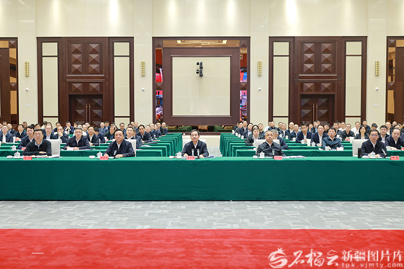 自治区举行2025年重大项目集中开竣工暨三季度重点项目调度会